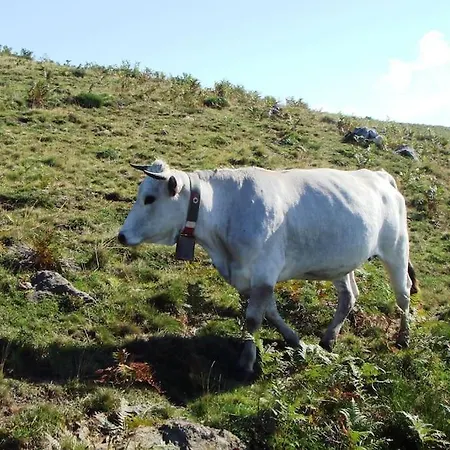 Grange En Pierres. Grand Jardin Et Belle Vue